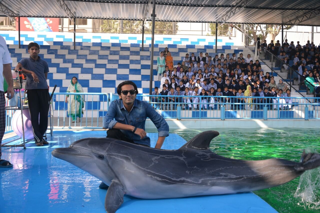 Dolphin Show